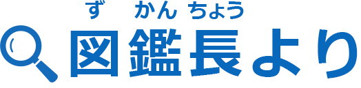 図鑑長 戸田康之